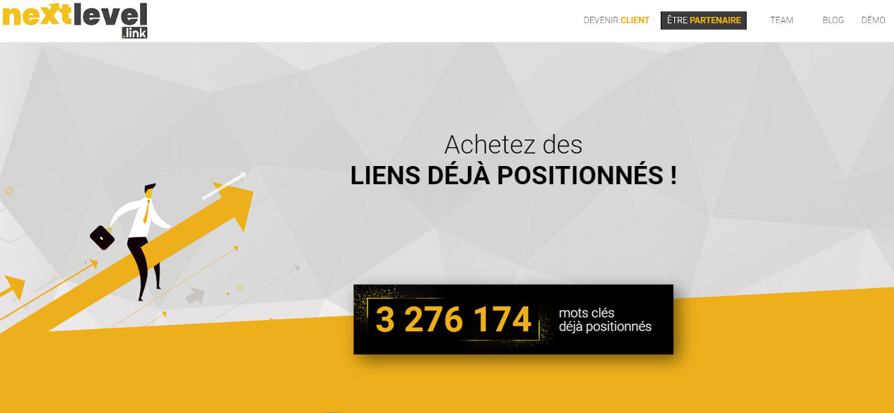 plateforme de netlinking Nextlevel.link